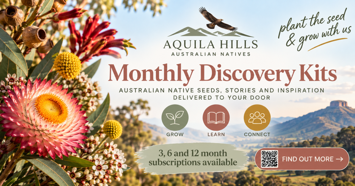 Aquila Hills Australian Natives