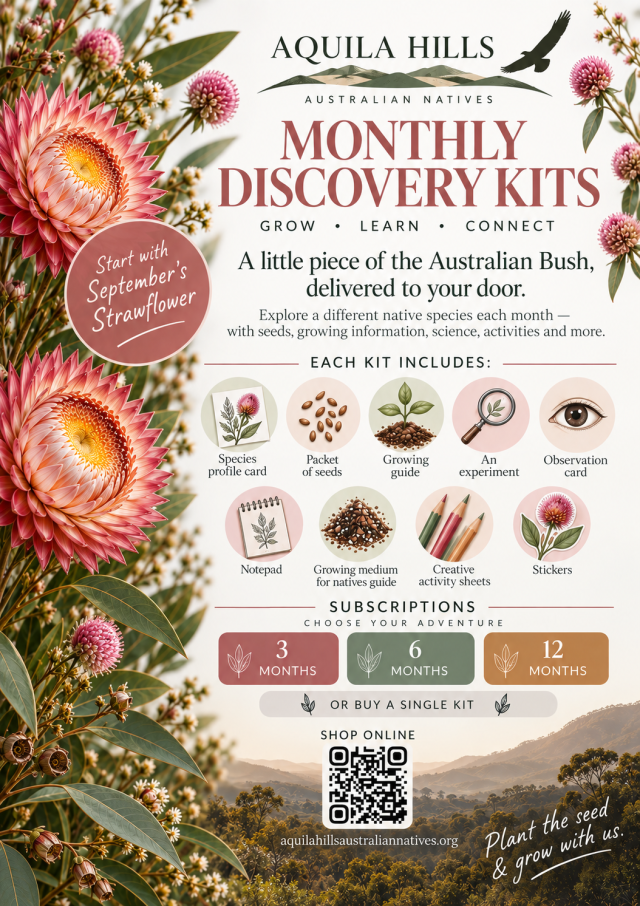 A little piece of the Australian bush, delivered to your door.  Aquila Hills Monthly Discovery Kits invite you to explore a different Australian native species each month through seeds, science, growing and hands-on discovery.  Each kit is thoughtfully d