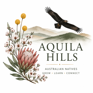 Aquila Hills Australian Natives Logo